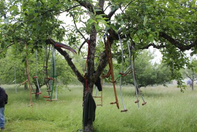 Sensenmähkurs 2024 Baum mit Sensen