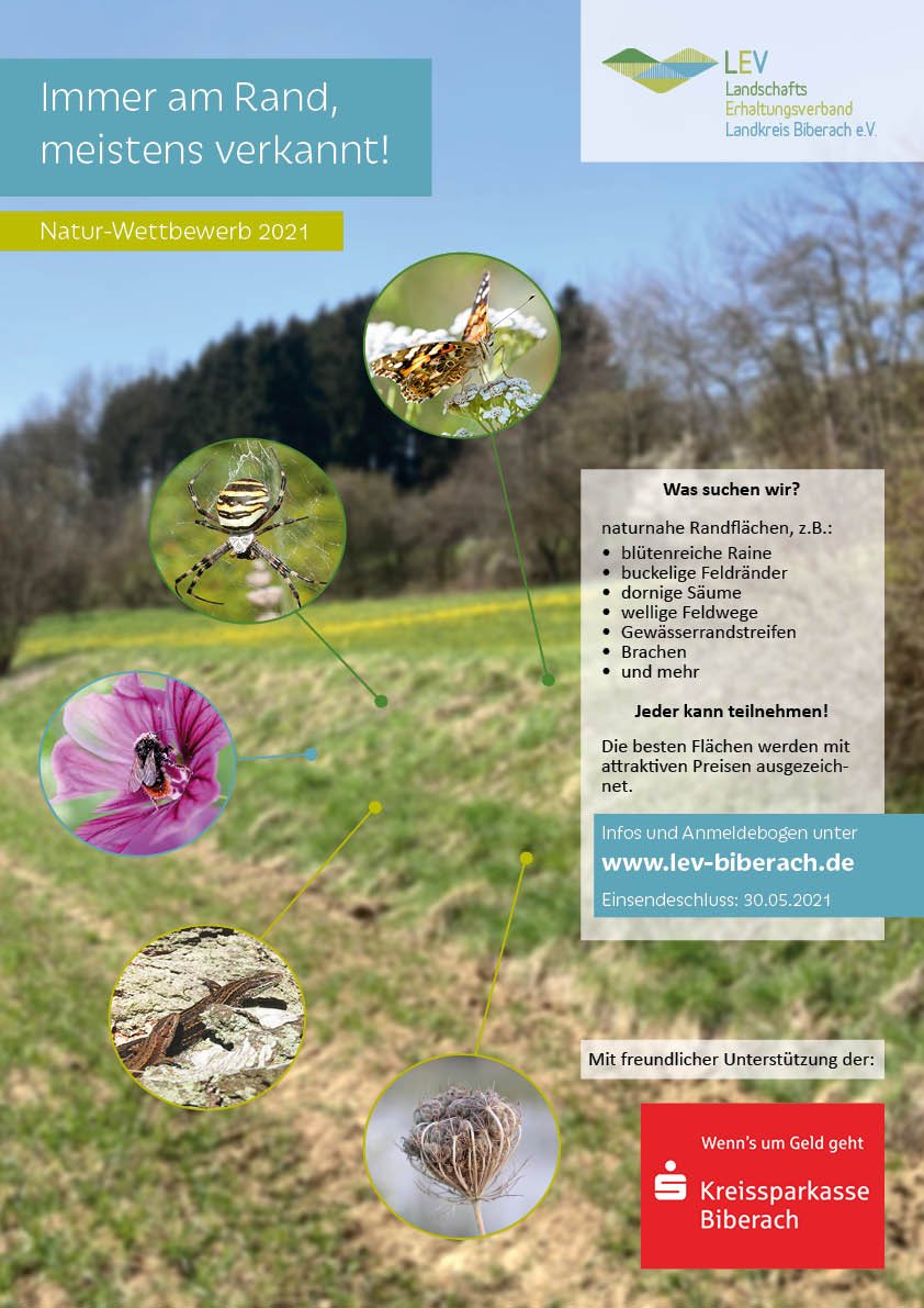 Poster Naturwettbewerb