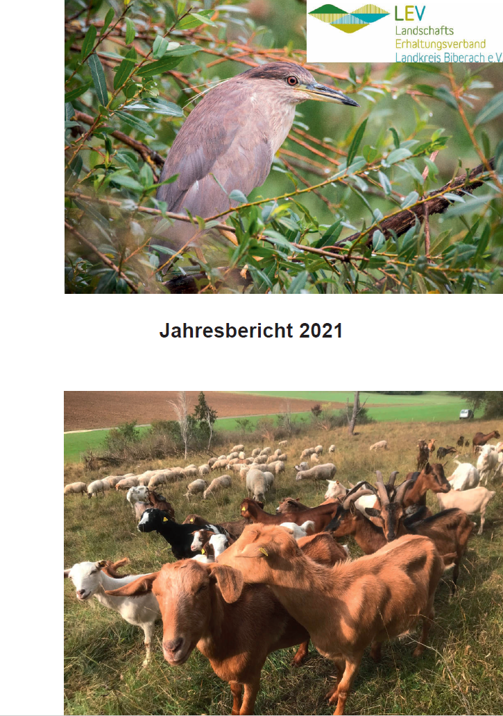 Jahresbericht 2021 Titel ganz