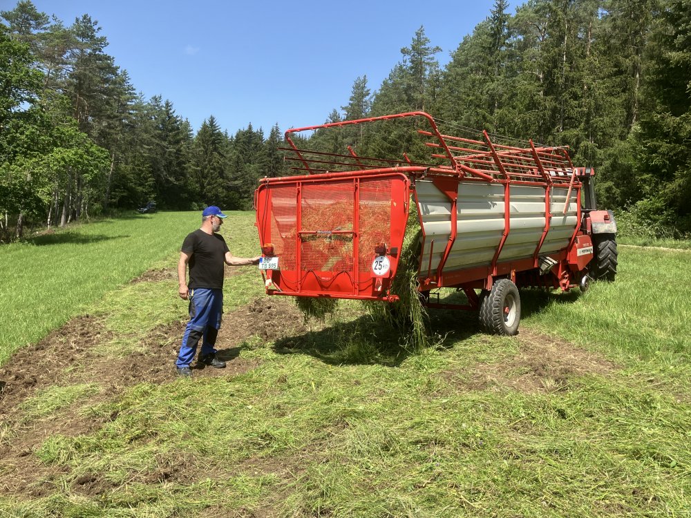 Archewiesen Ladewagen