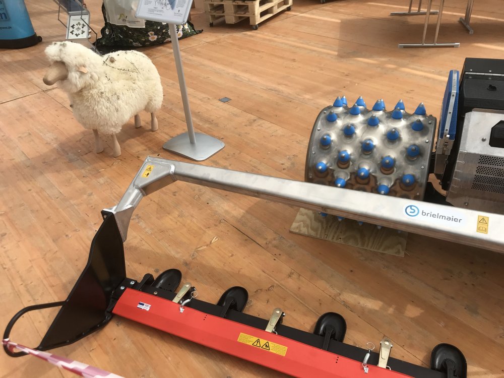 Schaf und Brielmaier