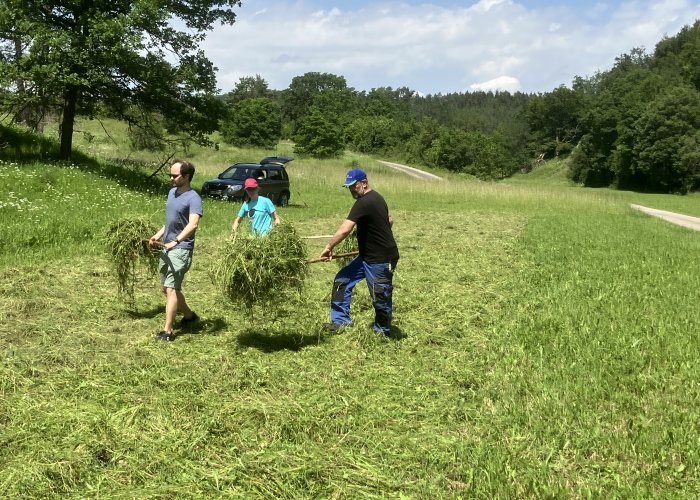 Archewiesen-Projekt erstmals im Landkreis Biberach