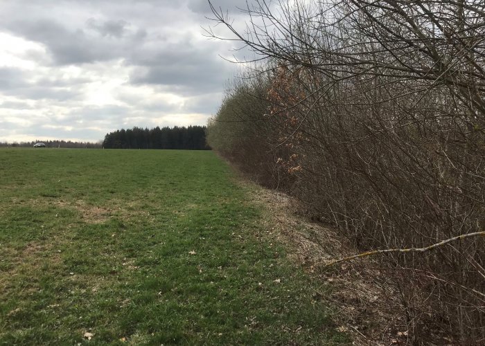 Praxisschulung