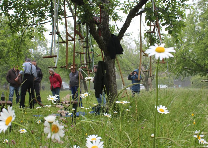 42. Sensenmähkurs im Museumsdorf Kürnbach