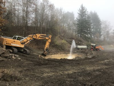 Wasser für die Frösche