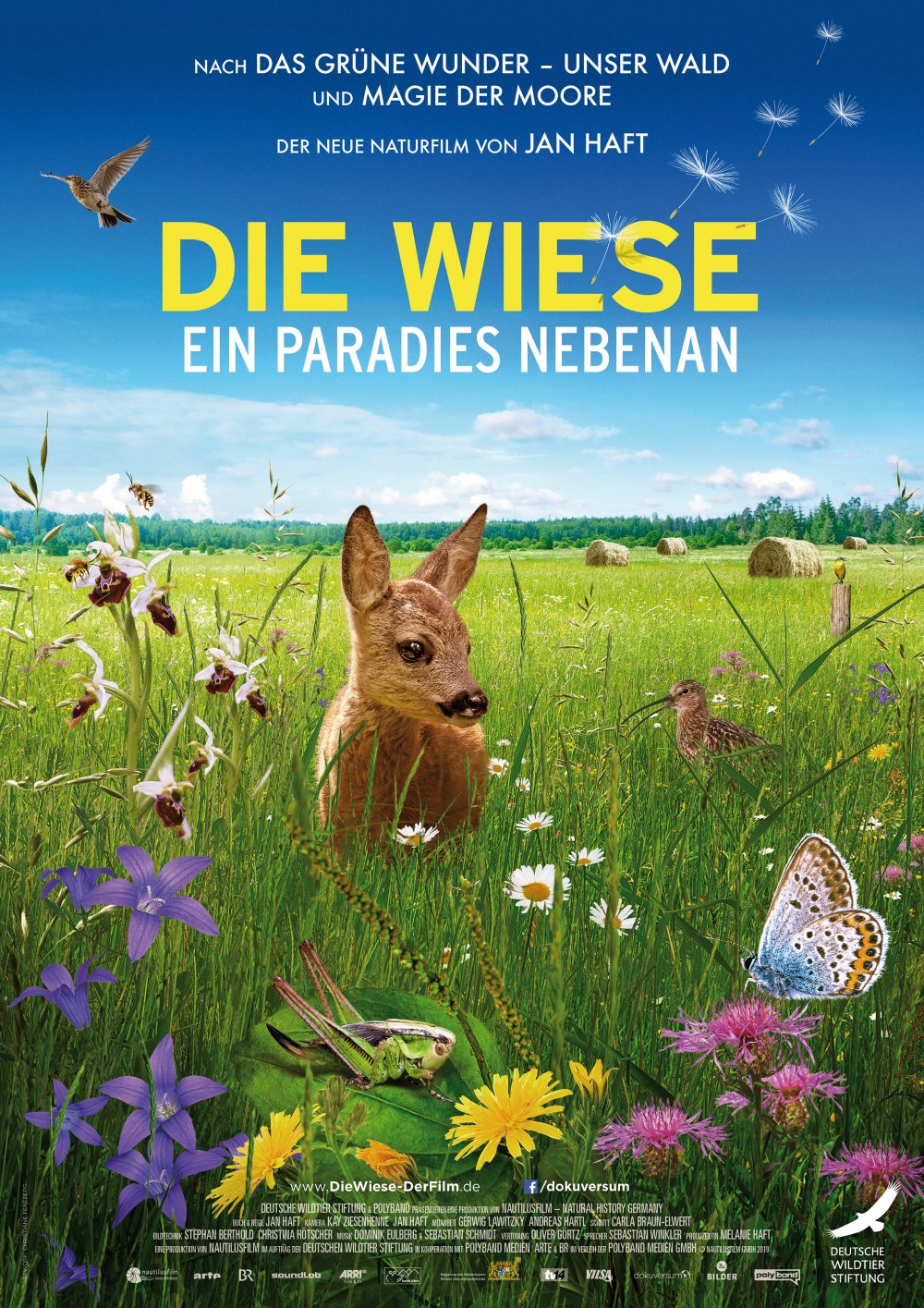 Die Wiese Filmplakat