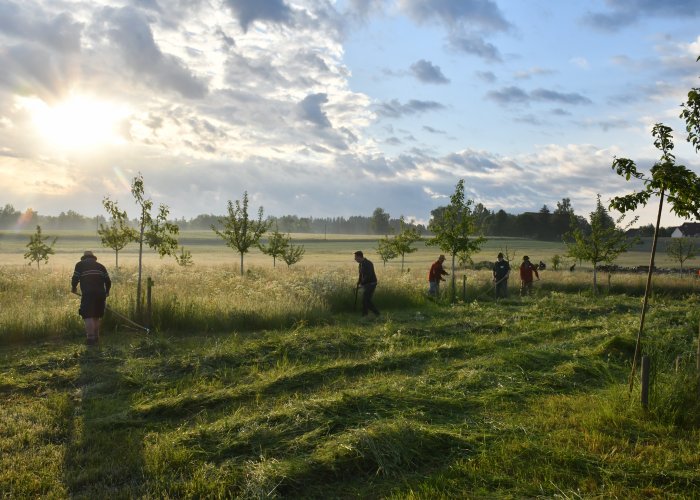 43. Sensenmähkurs - Anmeldung verlängert!